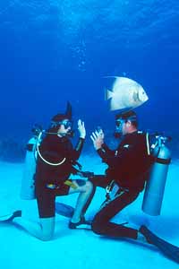 Scuba training, Grand Cayman Style